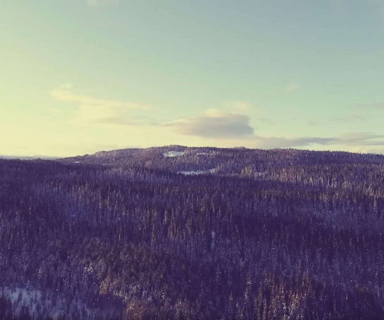 Dronevideo